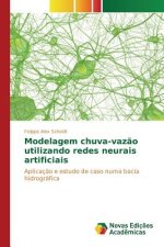 Modelagem chuva-vazao utilizando redes neurais artificiais