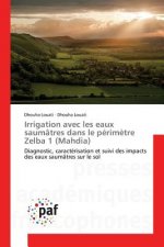 Irrigation Avec Les Eaux Saumatres Dans Le Perimetre Zelba 1 (Mahdia)
