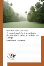 Prevention de la Transmission Du Vih de la Mere A l'Enfant Au Congo