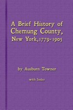 Brief History of Chemung County, New York, 1779 -1905 with Index