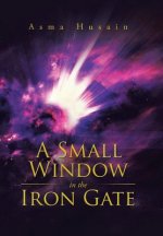 Small Window in the Iron Gate