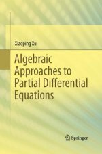 Algebraic Approaches to Partial Differential Equations