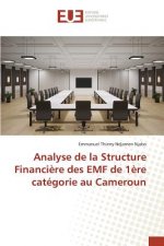 Analyse de la Structure Financiere Des Emf de 1ere Categorie Au Cameroun