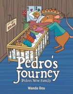 Pedro's Journey