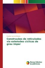 Construcoes de reticulados via extensoes ciclicas de grau impar