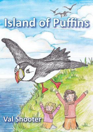 Island of Puffins