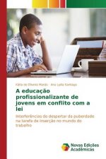 educacao profissionalizante de jovens em conflito com a lei