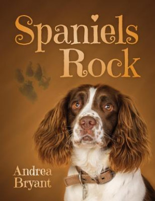 Spaniels Rock