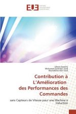 Contribution A L Amelioration Des Performances Des Commandes