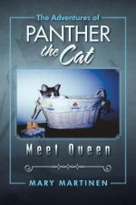 Adventures of Panther the Cat