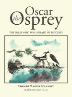 Oscar the Osprey