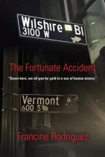 Fortunate Accident