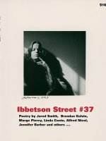 Ibbetson Street #37