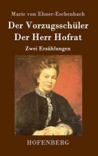 Der Vorzugsschuler / Der Herr Hofrat