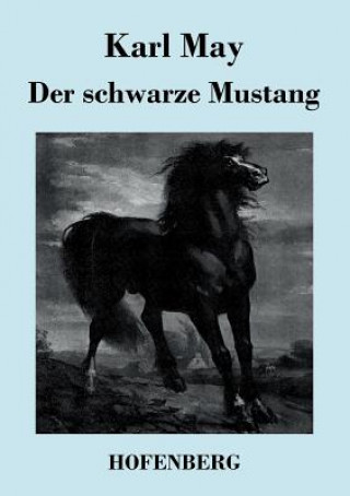 schwarze Mustang