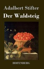 Der Waldsteig