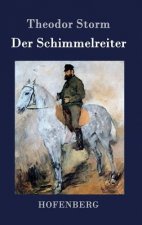 Der Schimmelreiter