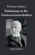Einleitung in die Geisteswissenschaften