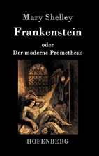 Frankenstein oder Der moderne Prometheus