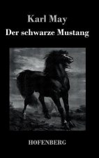 schwarze Mustang