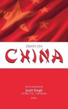 Essays on China