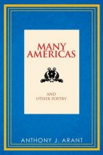 Many Americas