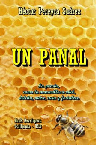 Panal