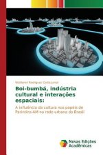 Boi-bumba, industria cultural e interacoes espaciais