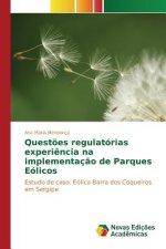 Questoes regulatorias experiencia na implementacao de Parques Eolicos