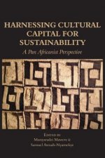 Harnessing Cultural Capital for Sustainability. A Pan Africanist Perspective