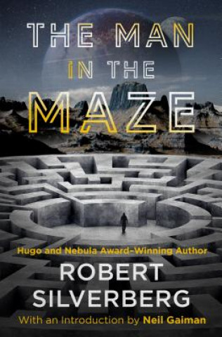 Man in the Maze