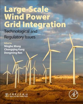 Large Scale Wind Power Grid Integration