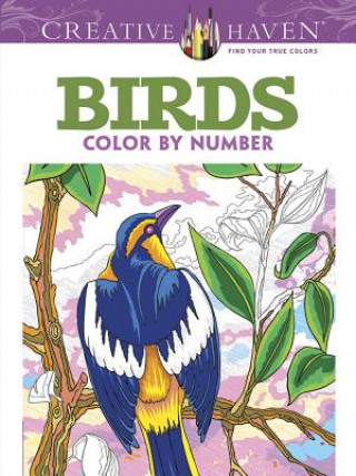 Creative Haven Birds Color by Number Coloring Book (George Toufexis)(Puha kötésű)