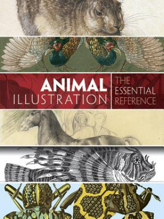 Animal Illustration: The Essential Reference