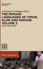 Papuan Languages of Timor, Alor and Pantar. Volume 2