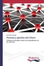 Proceso y gestion del Churn