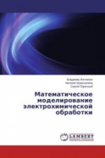 Matematicheskoe modelirovanie jelektrohimicheskoj obrabotki