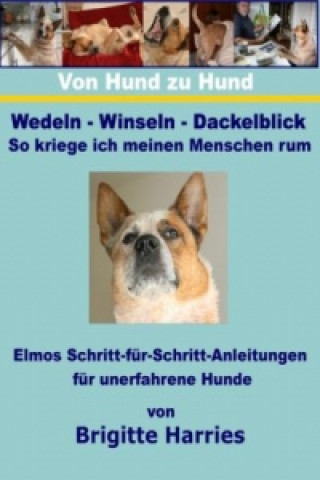 Von Hund zu Hund  - Wedeln-Winseln-Dackelblick - So kriege ich meinen Menschen rum