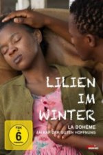 Lilien im Winter, 1 DVD