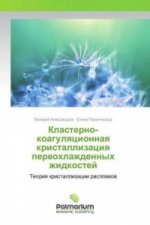 Klasterno-koagulyacionnaya kristallizaciya pereohlazhdennyh zhidkostej