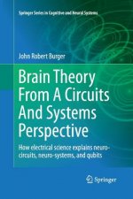 Brain Theory From A Circuits And Systems Perspective