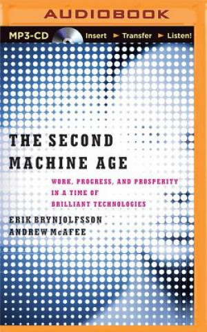Second Machine Age