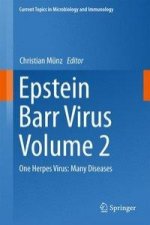 Epstein Barr Virus Volume 2