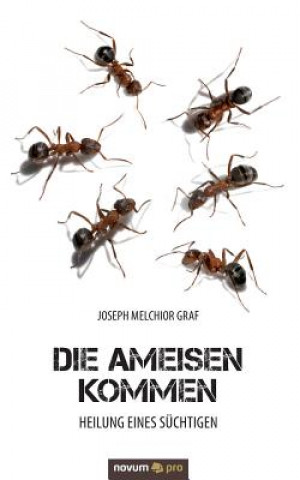 Ameisen kommen