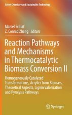 Reaction Pathways and Mechanisms in Thermocatalytic Biomass Conversion II