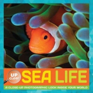 Sea Life