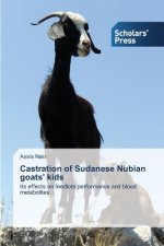 Castration of Sudanese Nubian goats' kids
