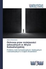 Ochrona praw mniejszości seksualnych w Afryce Subsaharyjskiej