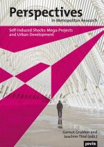 Self-induced Shocks: Mega-Projects and Urban Development
