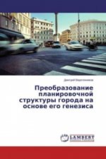 Preobrazovanie planirovochnoj struktury goroda na osnove ego genezisa